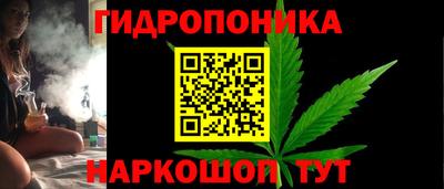 трава Партизанск