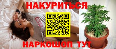 трава Партизанск