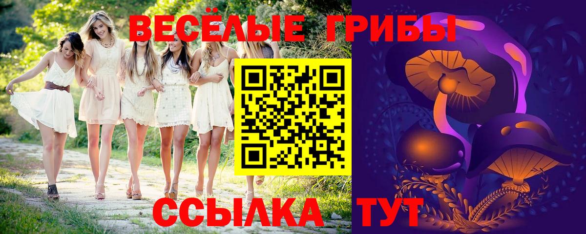 Галлюциногенные грибы Psilocybe Ялта