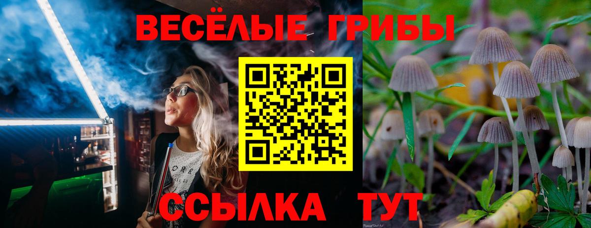 Ялта  Псилоцибиновые грибы мухоморы  наркотики  Вход с VPN 